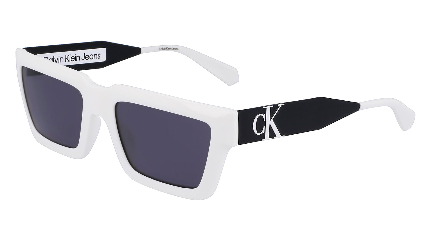 CALVIN KLEIN CKJ22641S